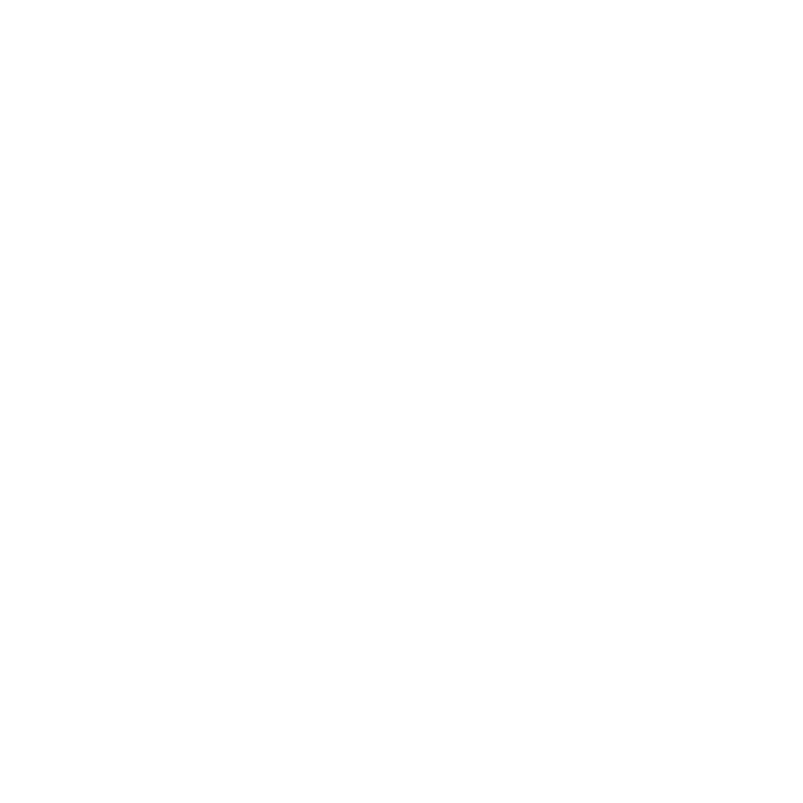 FORTUNA MEDIA